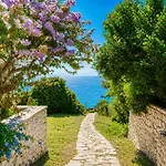 Maistro Vila Sivota